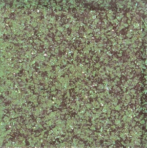 JEWELLERY EYESHADOWS SPARKLE